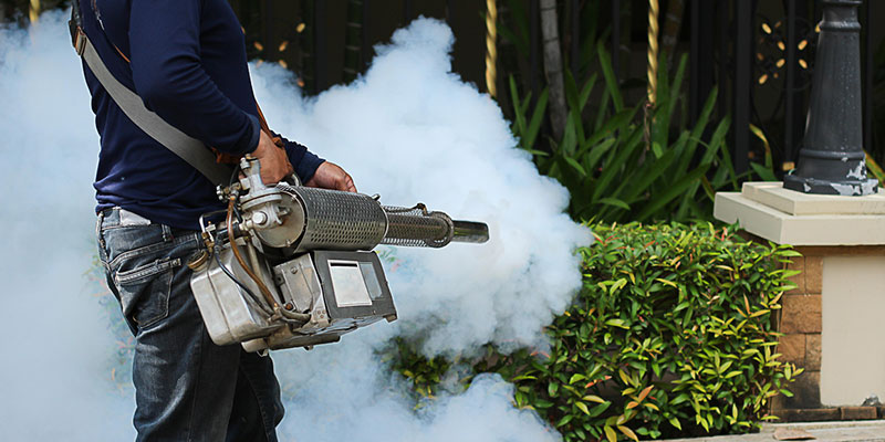 FAQs About Mosquito Control